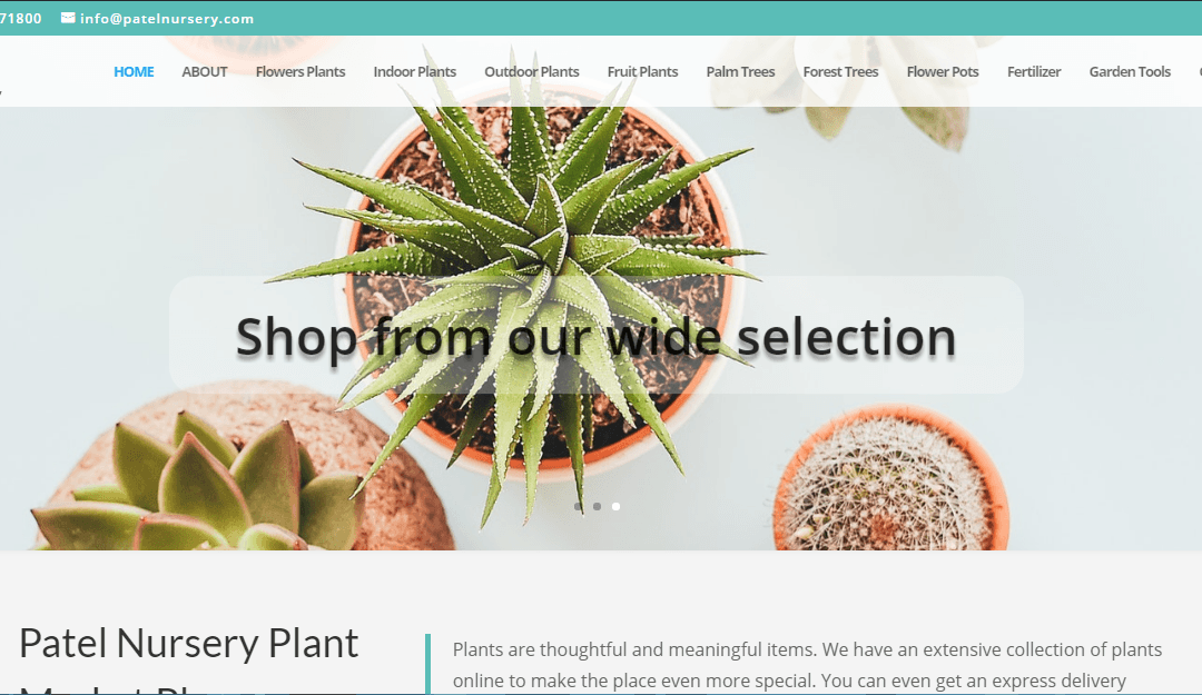 Patel Nursery