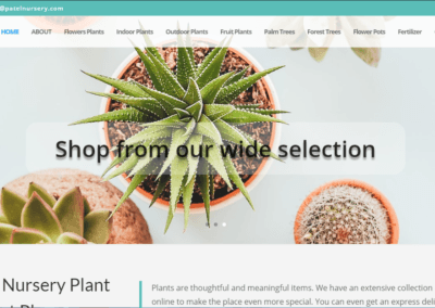 Patel Nursery