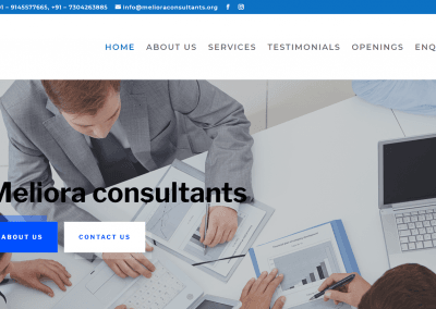 Meliora Consultants
