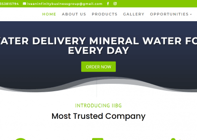 iibgplus.com