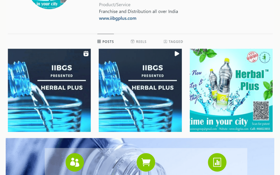 iibgplus Digital Marketing